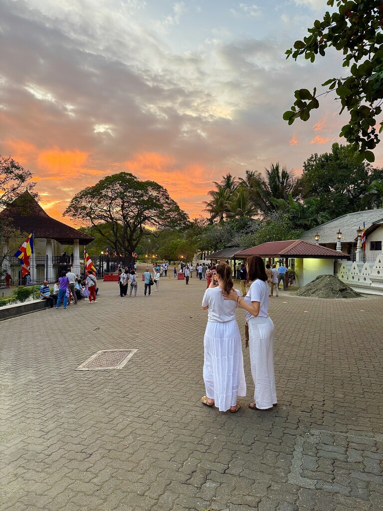 Léa and Alix capturing the sunset.  by cocobella