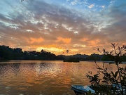 3rd Mar 2025 - Kandyan sunset. 