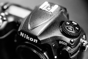 6th Mar 2025 - Nikon