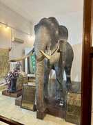 5th Mar 2025 - Sacred elephant. 
