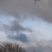 Incoming Storm