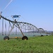 Irrigator