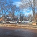 In The Park 