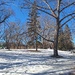 At The Park 