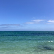 7th Mar 2025 - Blues