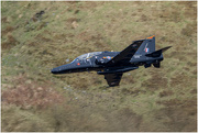7th Mar 2025 - Hawk - Mack Loop