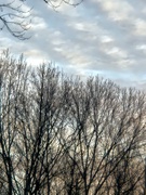 7th Mar 2025 - Dawn Clouds