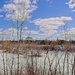 Sunny Day, Blue Sky, Puffy Clouds