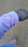 7th Mar 2025 - blue