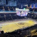 Go Bruins
