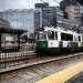 Boston Green T-Line