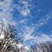 Last Morning Walk in the Light Before DST by librarymom