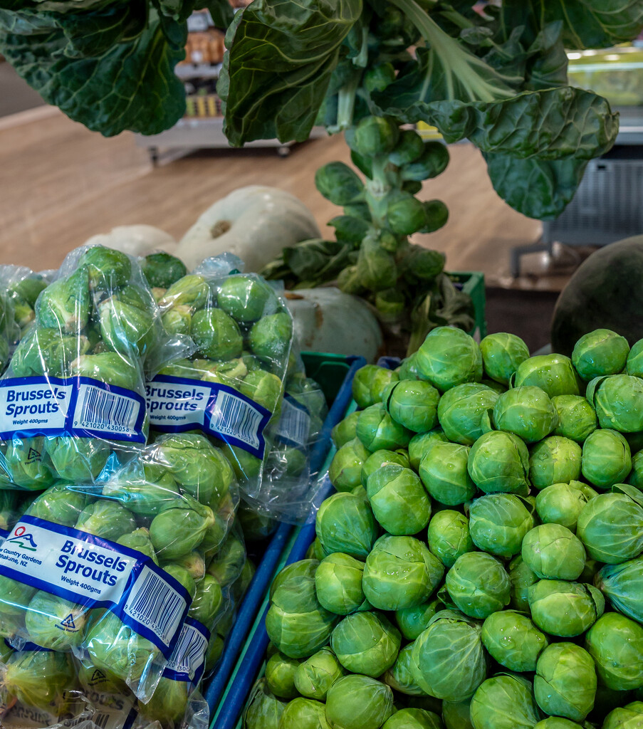 Brussel Sprouts by nickspicsnz