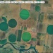 Circular crops
