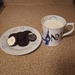 Cookies and Milk
