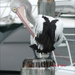 Preening