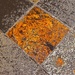 Rainbow Day 8 Ochre:  Welsh Slate Tile  by casablanca