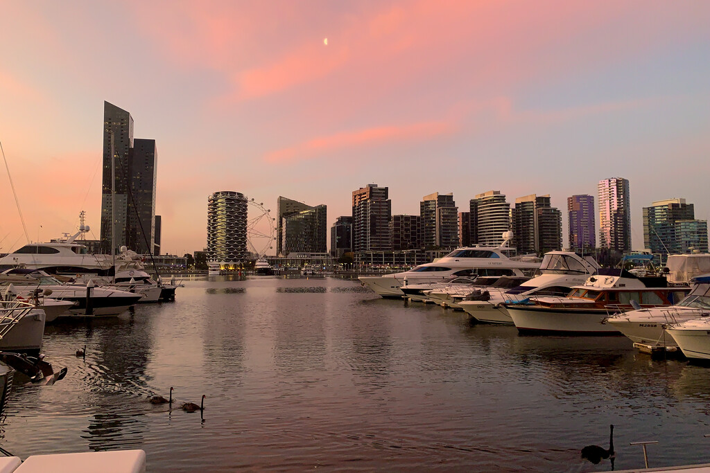 Harbour View by briaan