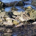 SNIPE