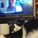 Watching Red Dragon at A.'s.