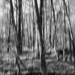 A little motion blur...