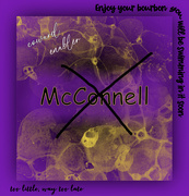 8th Mar 2025 - Cancelled Day 8
