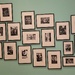 photographs