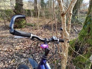 8th Mar 2025 - cycle out