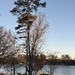 3 6 Lake Norman - evening 