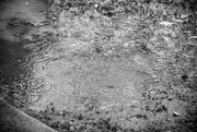 8th Mar 2025 - Rain All Day