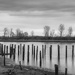 Fraser River