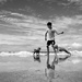 Fetching reflection.  by kartia