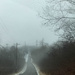 Down the road
