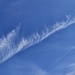 Feathery cloud  by dragey74