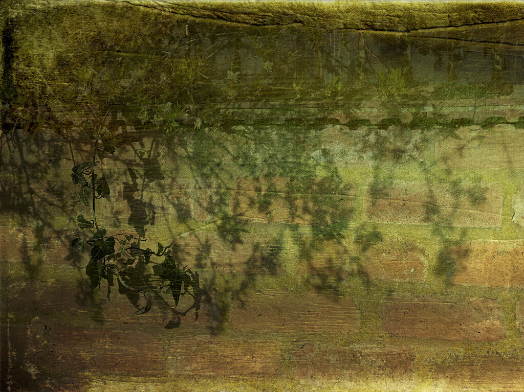 9 - Shadows by marshwader