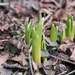 Spring is Coming!