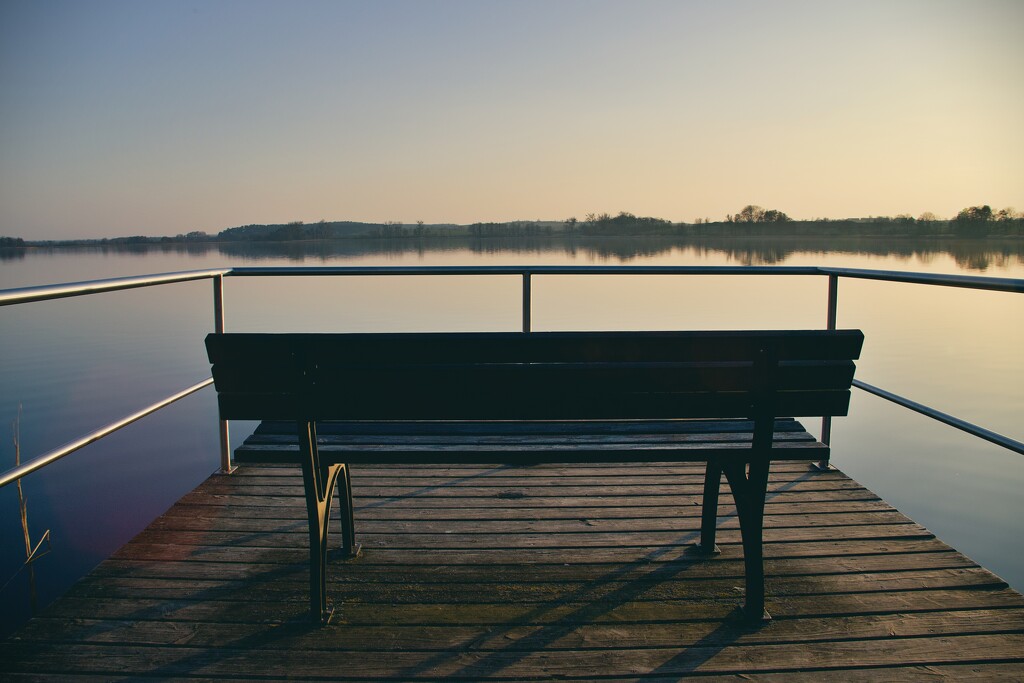 Evening lake life by aleksandra_julia