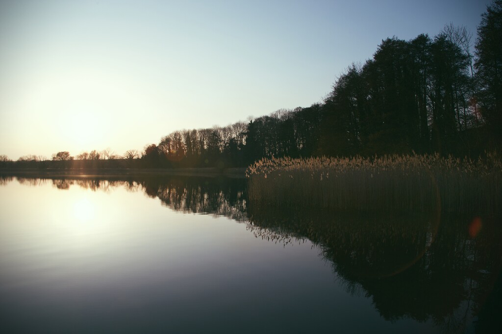 Evening lake life 3 by aleksandra_julia