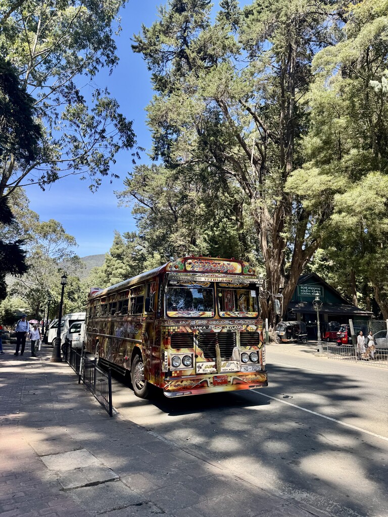 Bus in Nuwara Eliya.  by cocobella