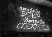8th Mar 2025 - Staying for Cocktails-7636