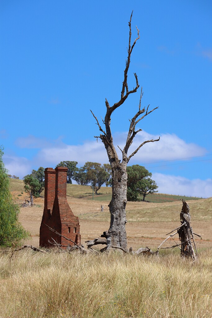 2 chimneys & a dead tree by leggzy