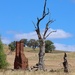 2 chimneys & a dead tree