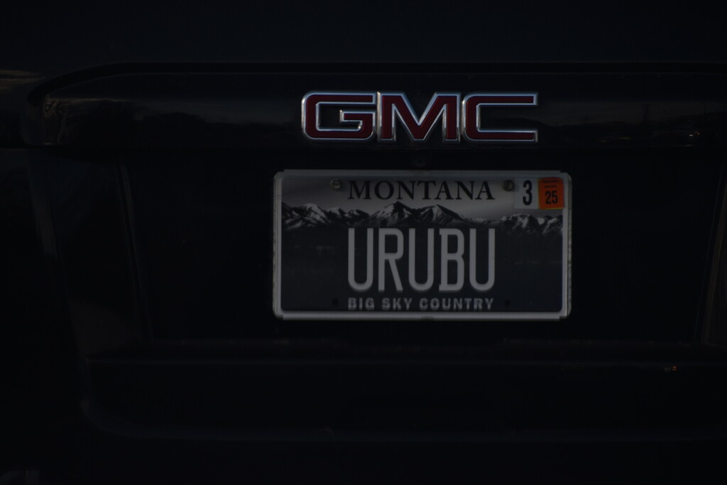 URUBU by bjywamer