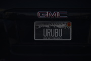 27th Feb 2025 - URUBU
