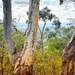 View over the valley