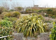 20th Feb 2025 - The Quiet Garden......