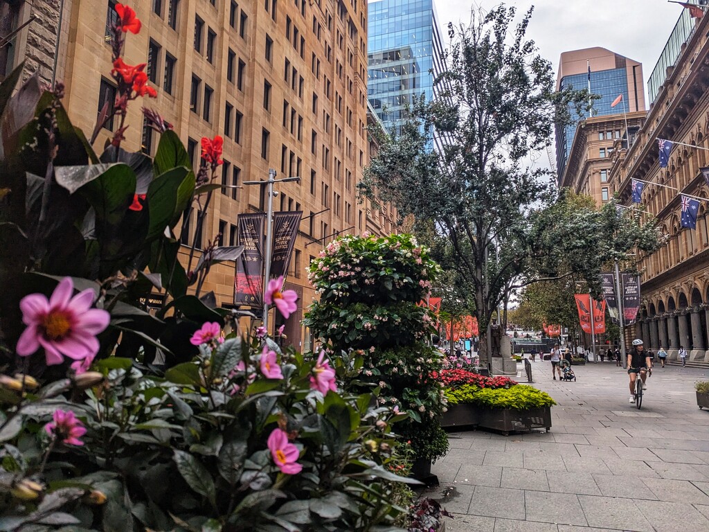 Martin Place  by elf