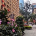 Martin Place 