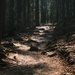 On the Way to the Szklarki Waterfall by przemekm