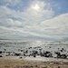 Beach View